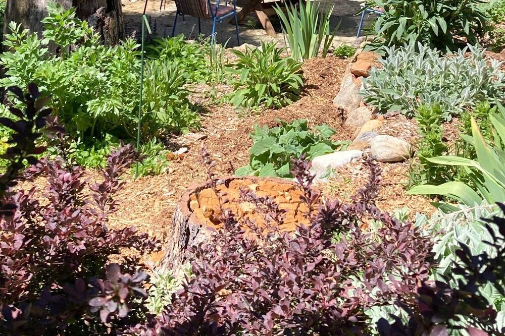 Photo of Outdoor in Apple Hill