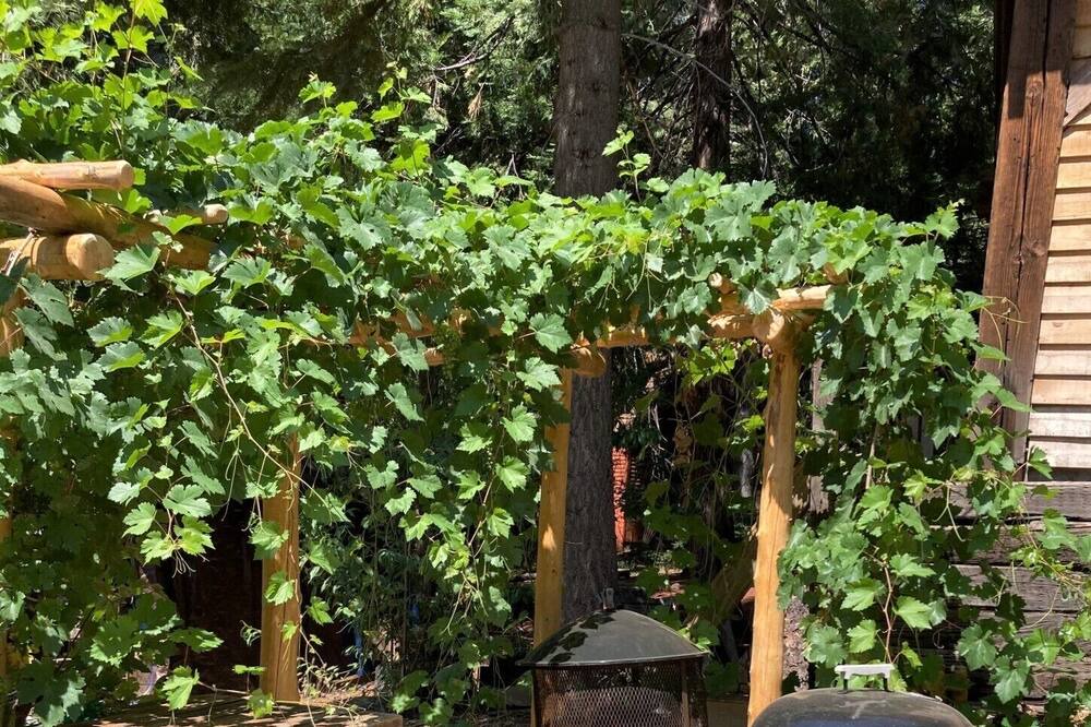 Photo of Outdoor in Apple Hill