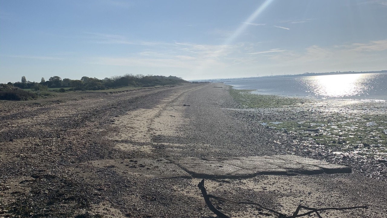 Photo of Others in Colchester