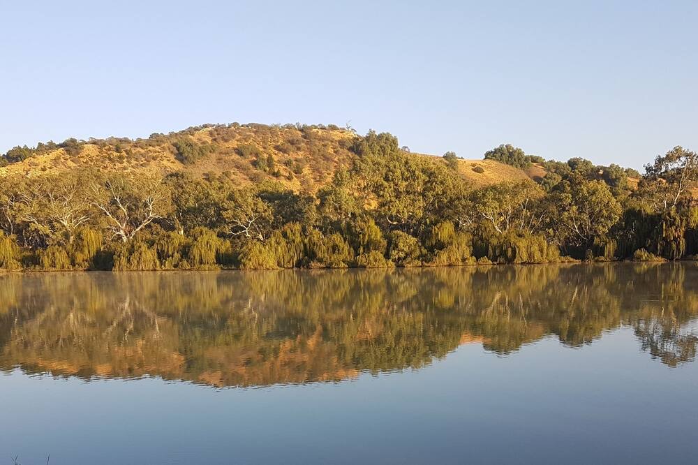 Photo of Others in Bowhill