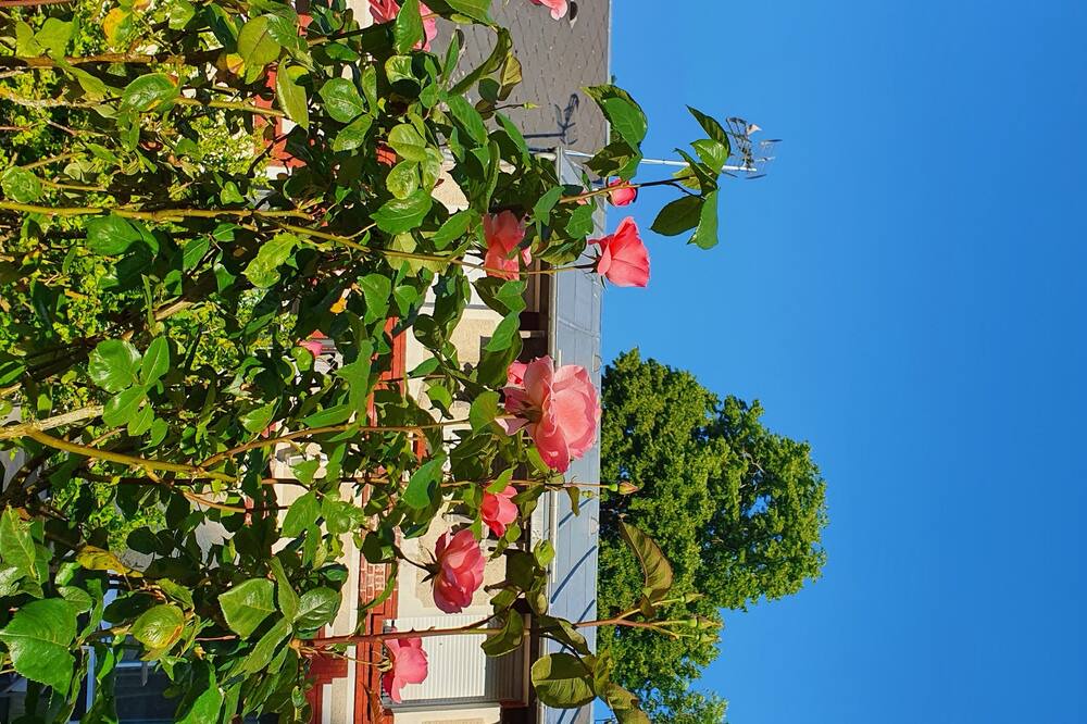 Photo of Outdoor in Montdidier