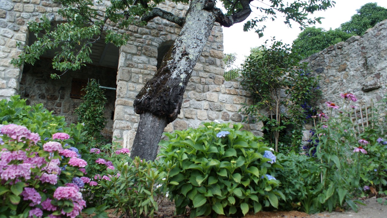 Photo of Outdoor in Burzet