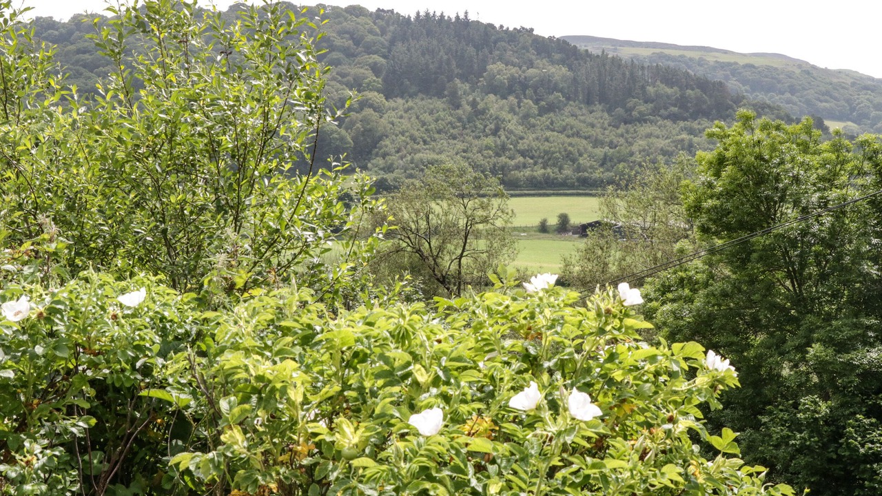 Photo of Others in Abergele