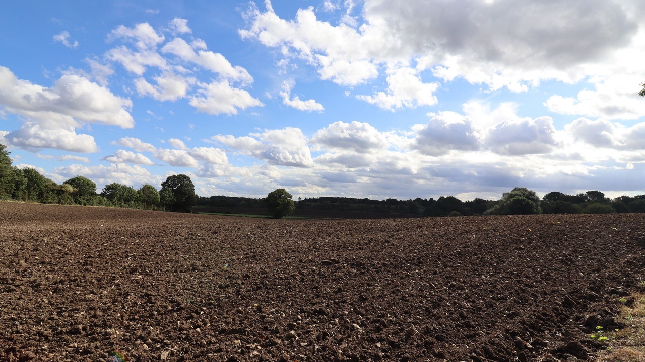 Photo of Others in Pavenham