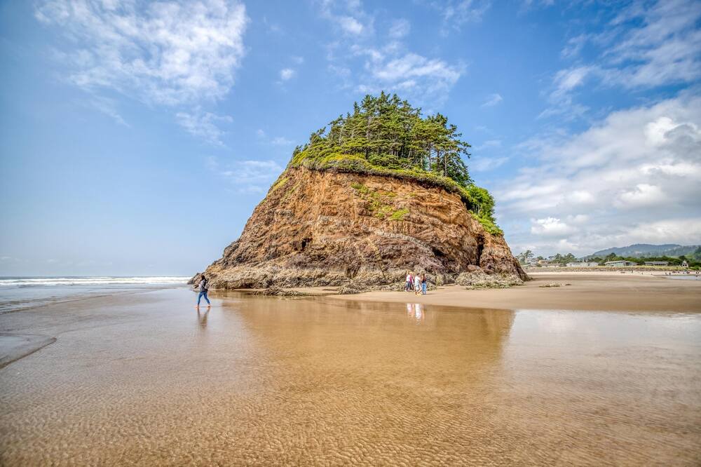 Photo of Others in Neskowin