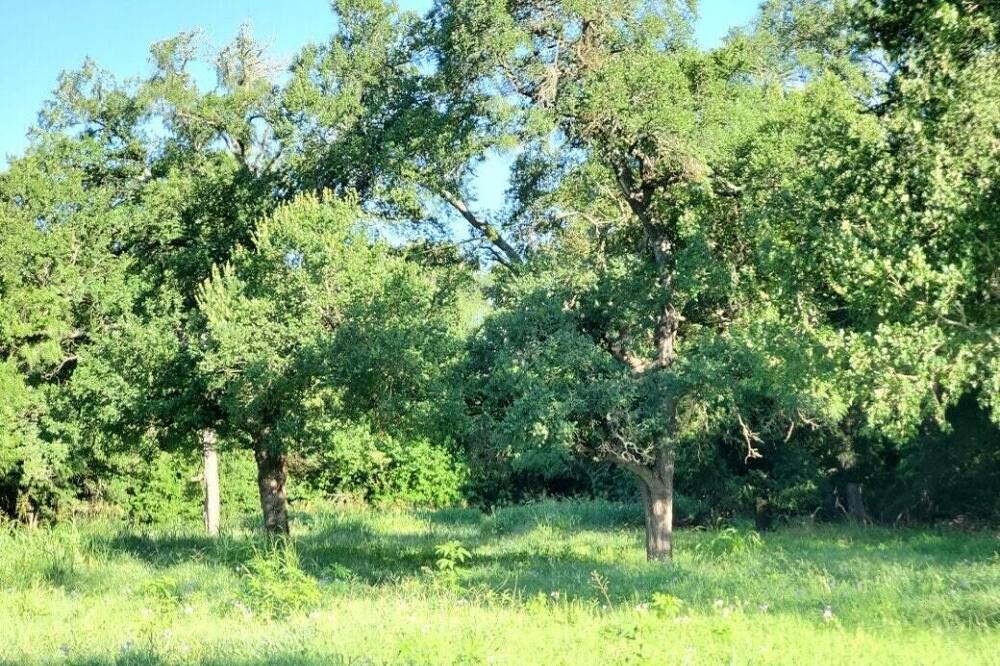 Photo of Others in Bell County