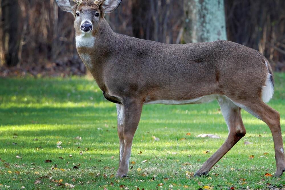 Photo of Others in Pennington