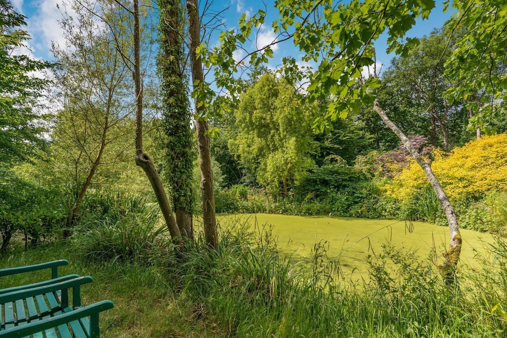 Photo of Outdoor in Beckley