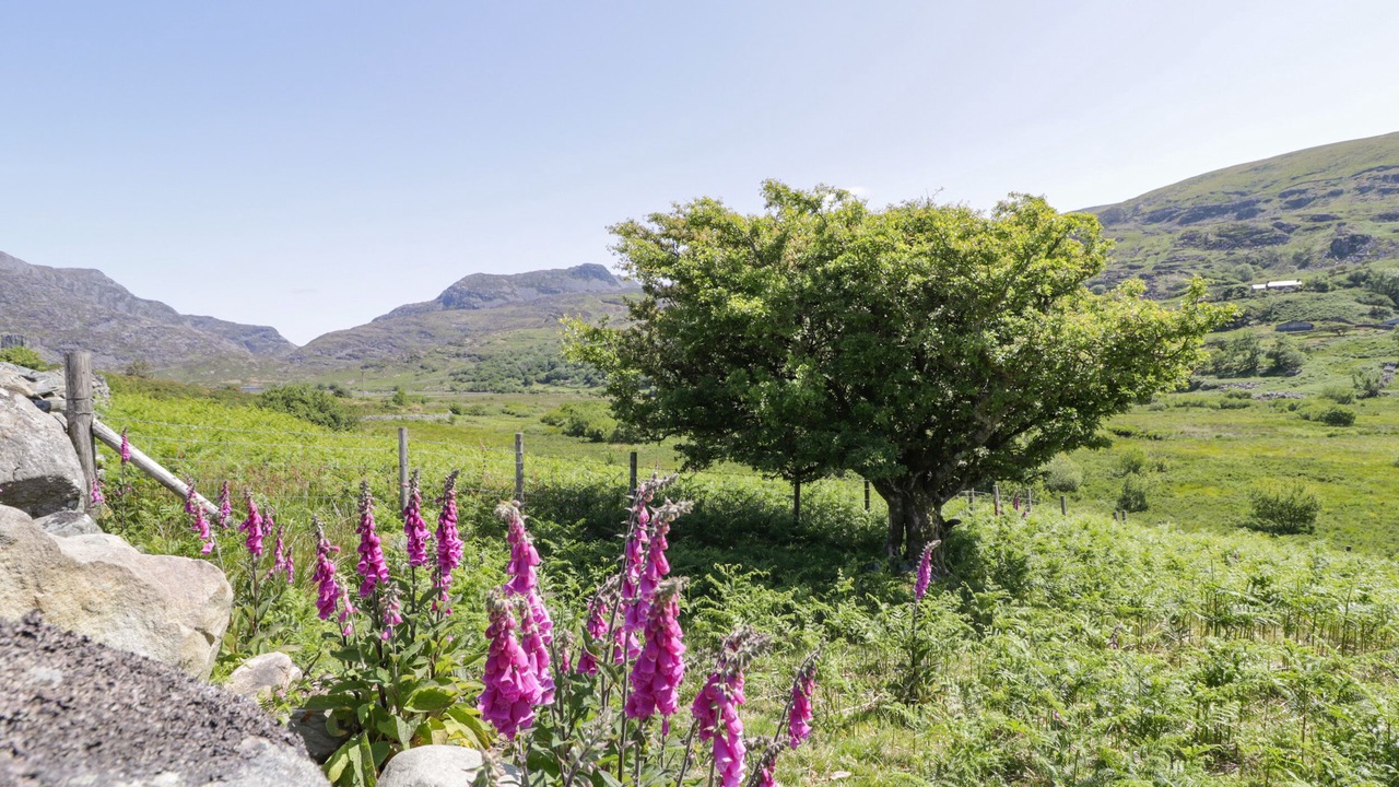 Photo of Others in Llanbedr