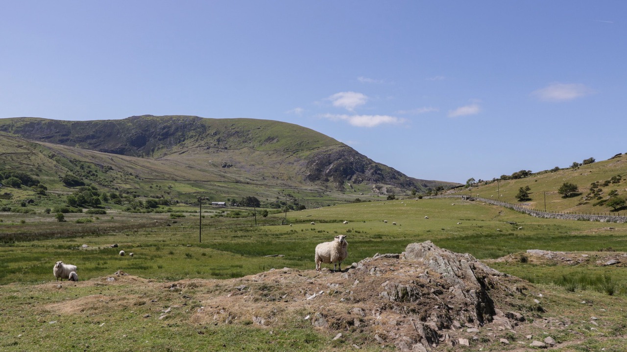 Photo of Others in Llanbedr