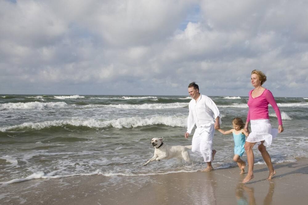 Photo of Others in Lowestoft