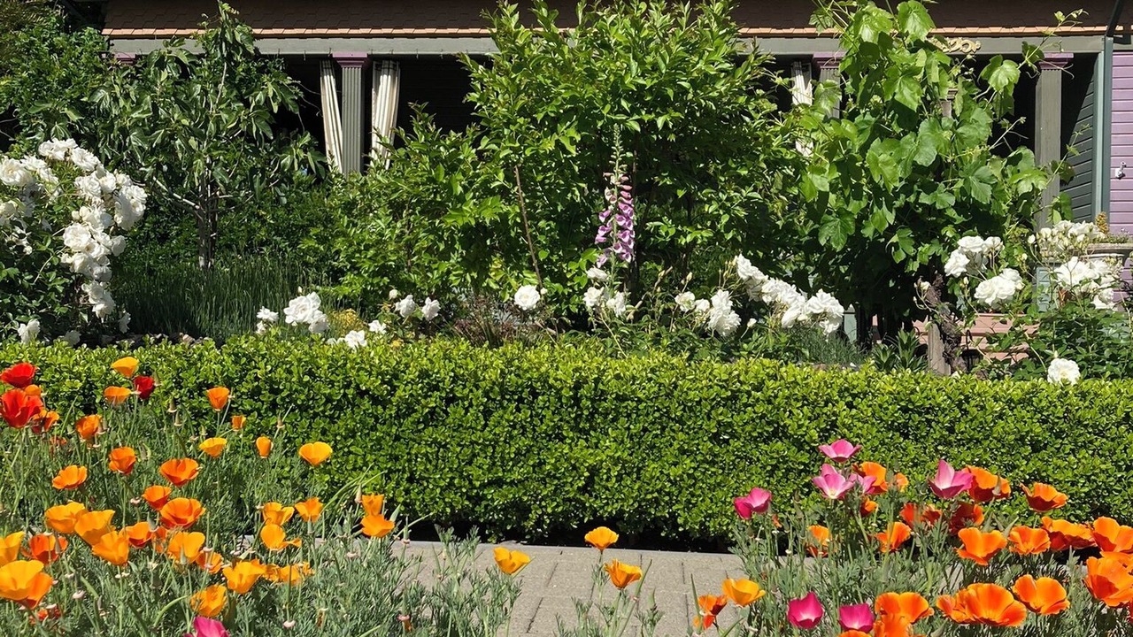 Photo of Outdoor in Cloverdale