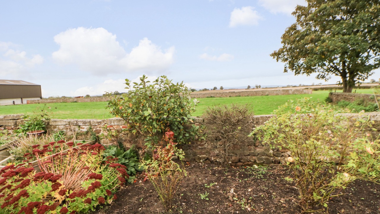 Photo of Others in Melmerby