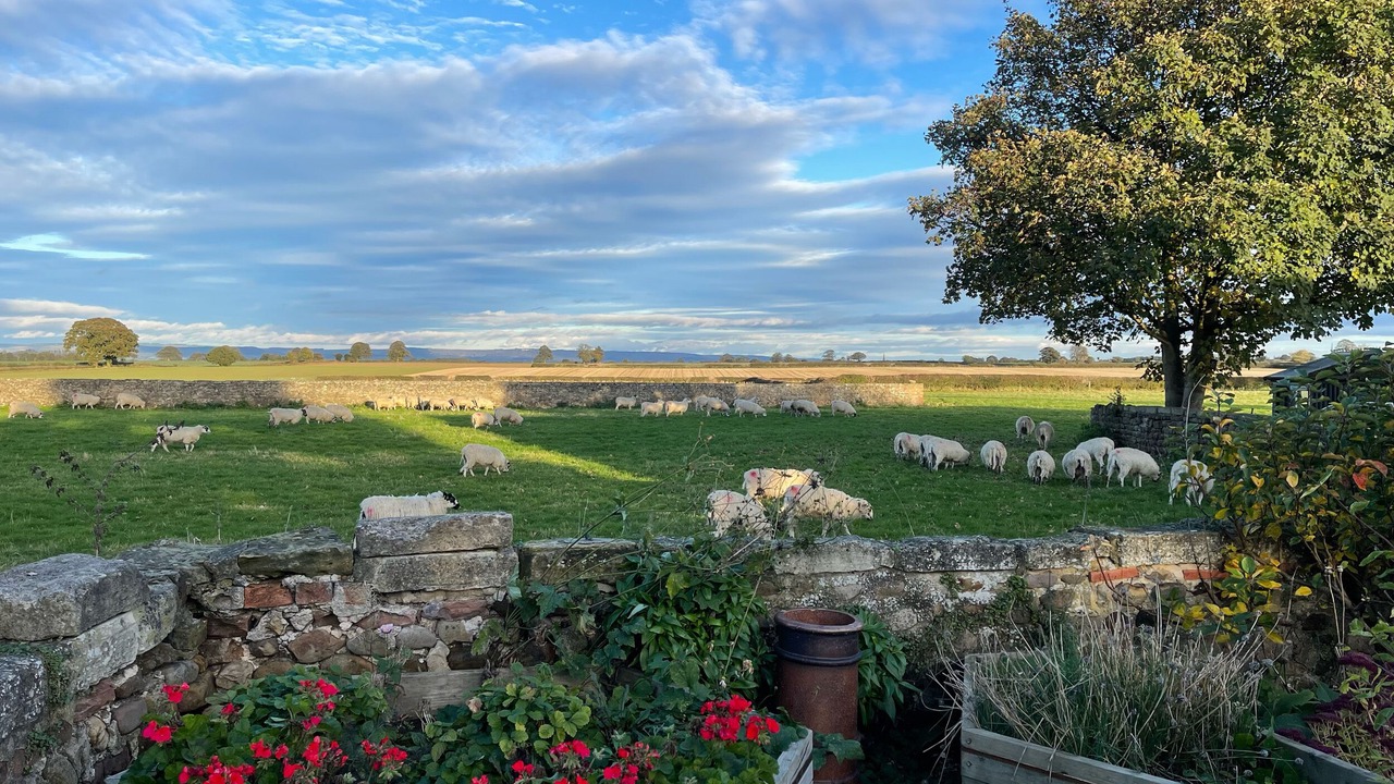 Photo of Others in Melmerby