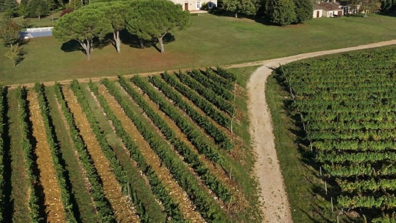 Photo of Outdoor in Cahors
