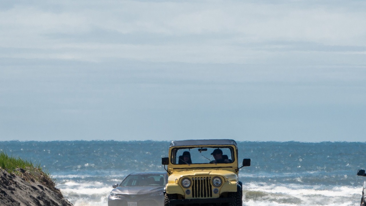 Photo of Others in Seaview