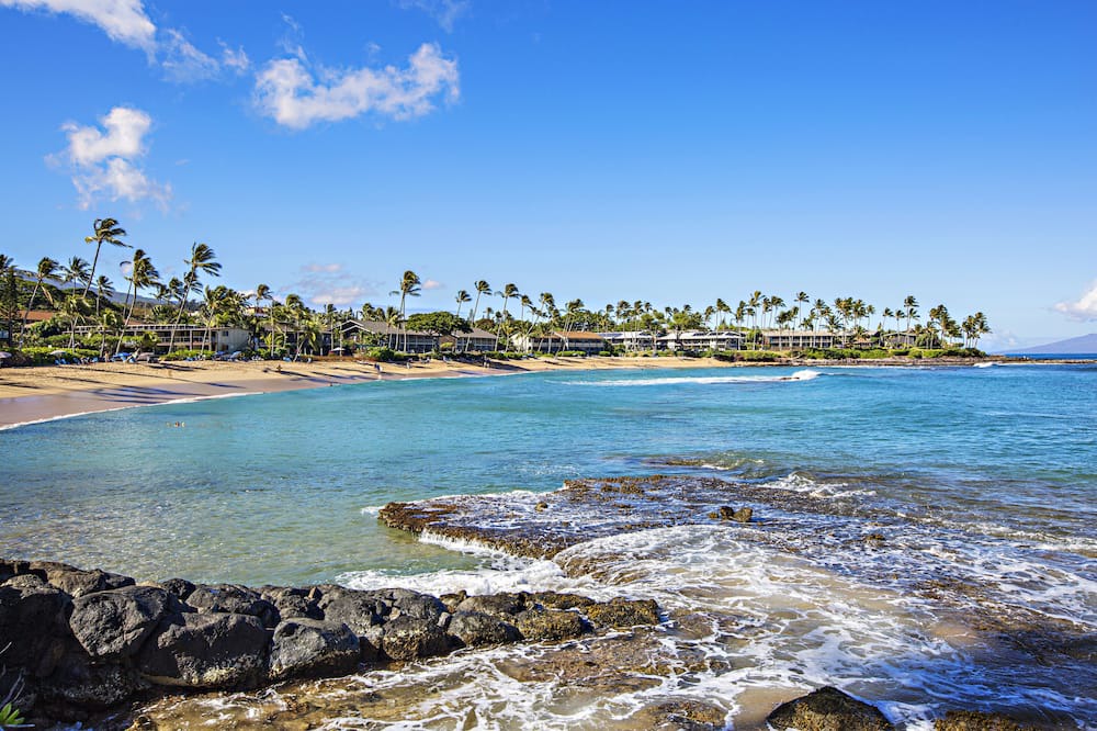 Photo of Others in Napili