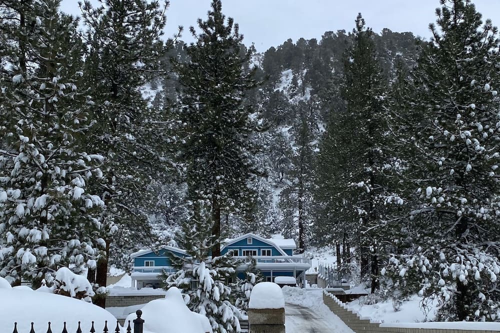 Photo of Others in Wrightwood