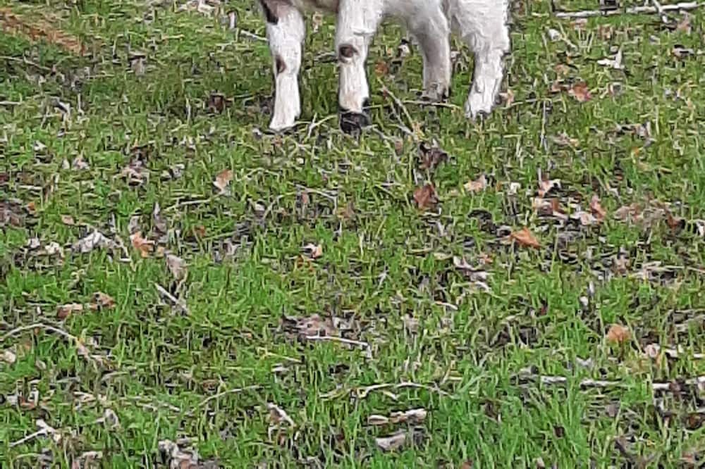 Photo of Others in Saint-Thual