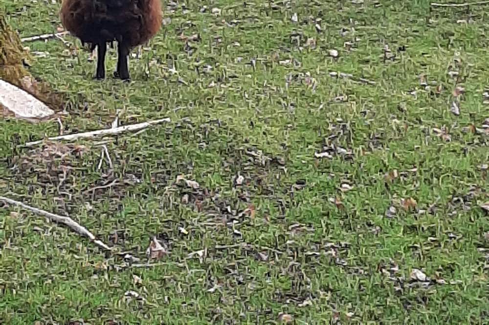 Photo of Others in Saint-Thual