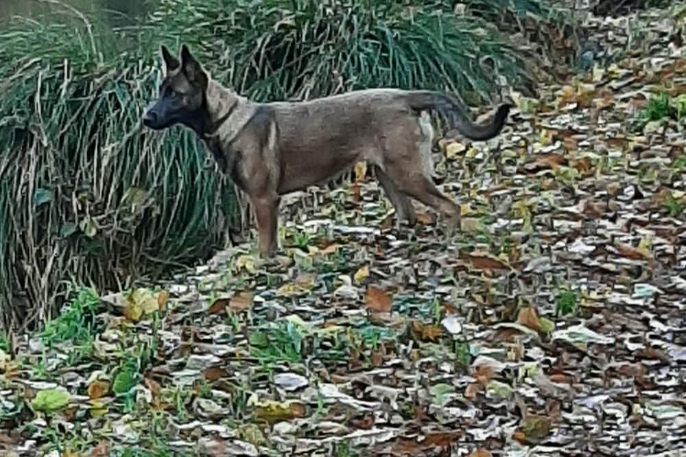 Photo of Others in Saint-Thual