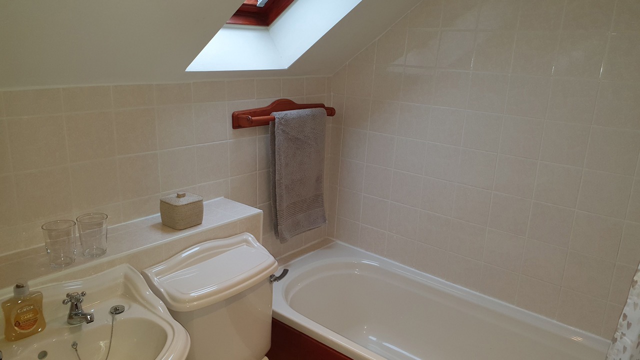 Photo of Bathroom in Llangybi