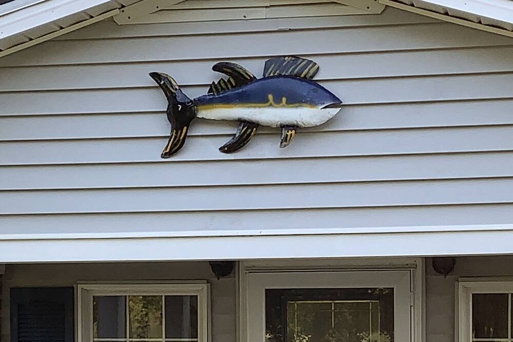 Photo of Outdoor in Machipongo