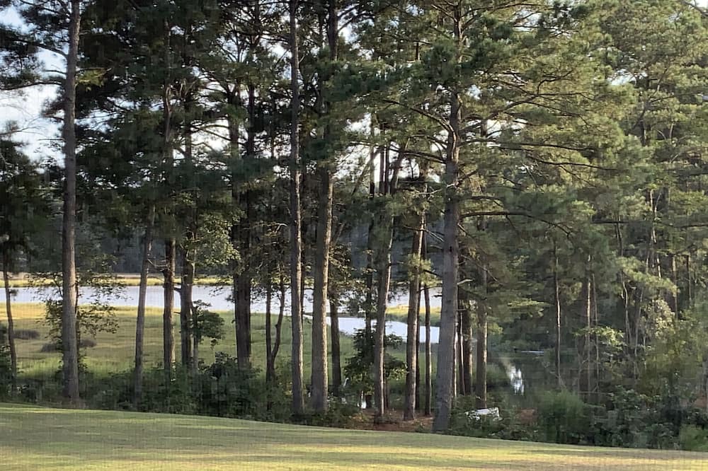 Photo of Others in Machipongo