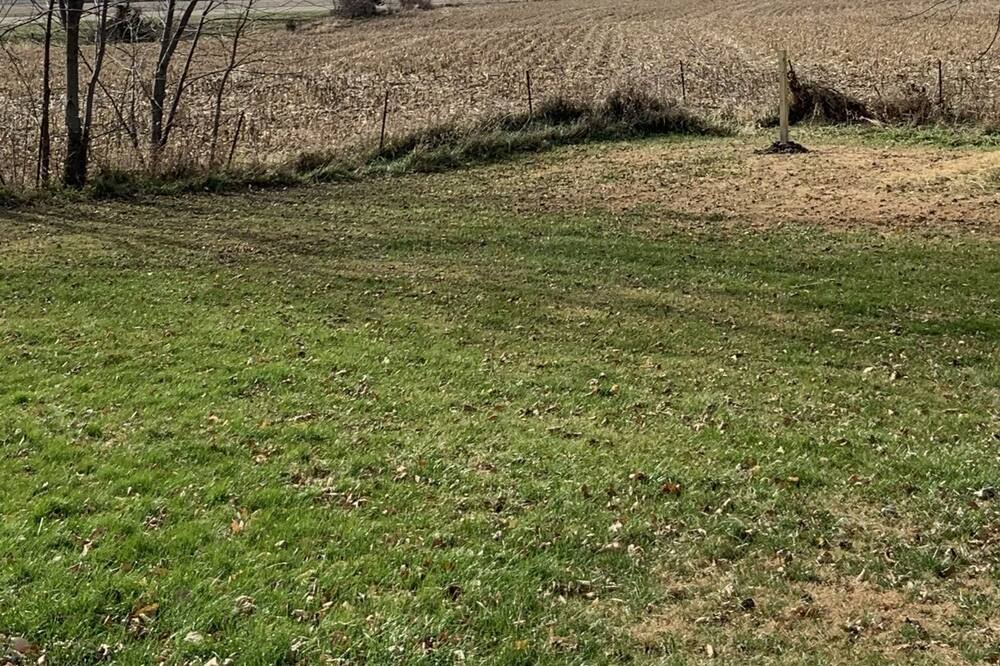 Photo of Outdoor in Chariton