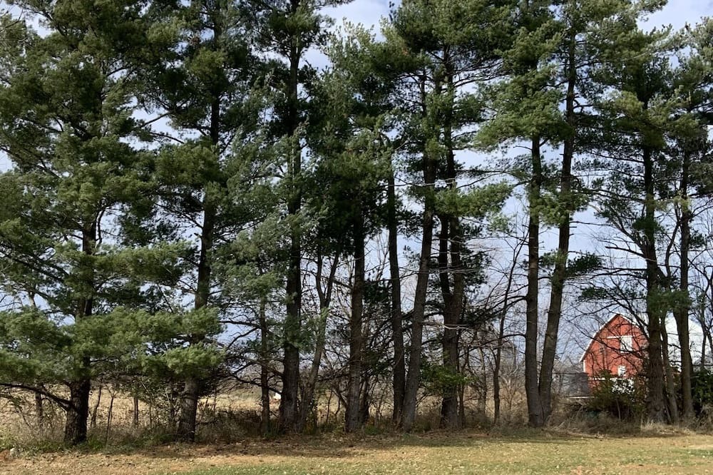 Photo of Outdoor in Chariton