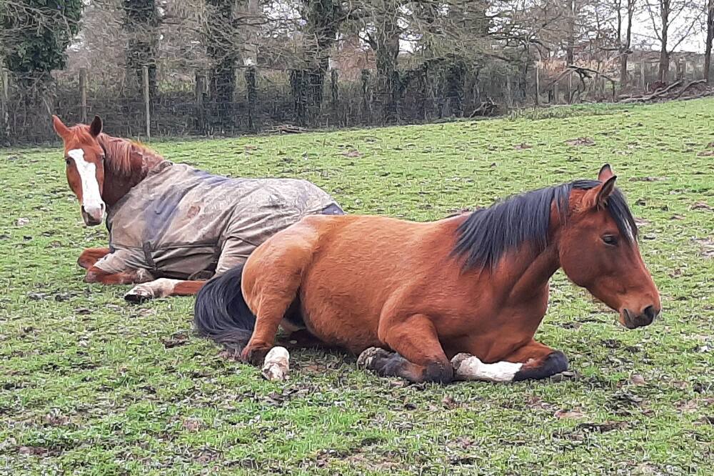 Photo of Others in Saint-Thual