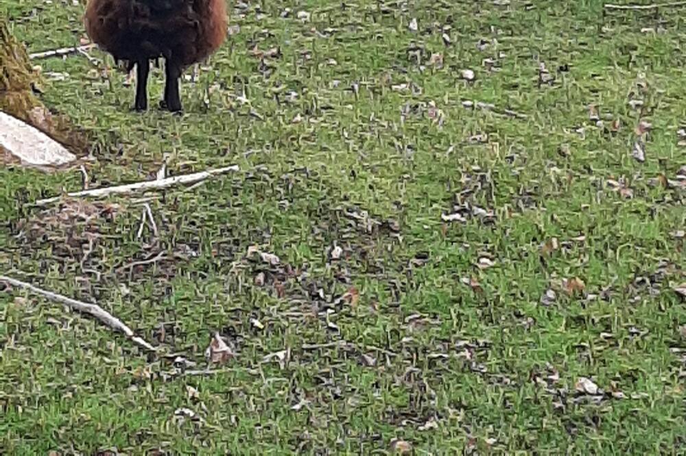 Photo of Others in Saint-Thual