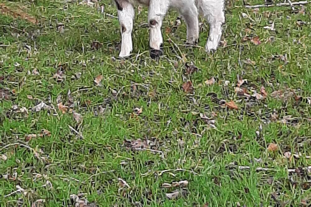 Photo of Others in Saint-Thual