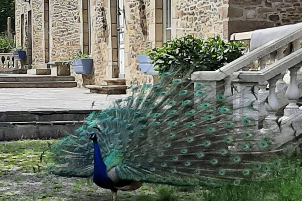 Photo of Others in Saint-Thual