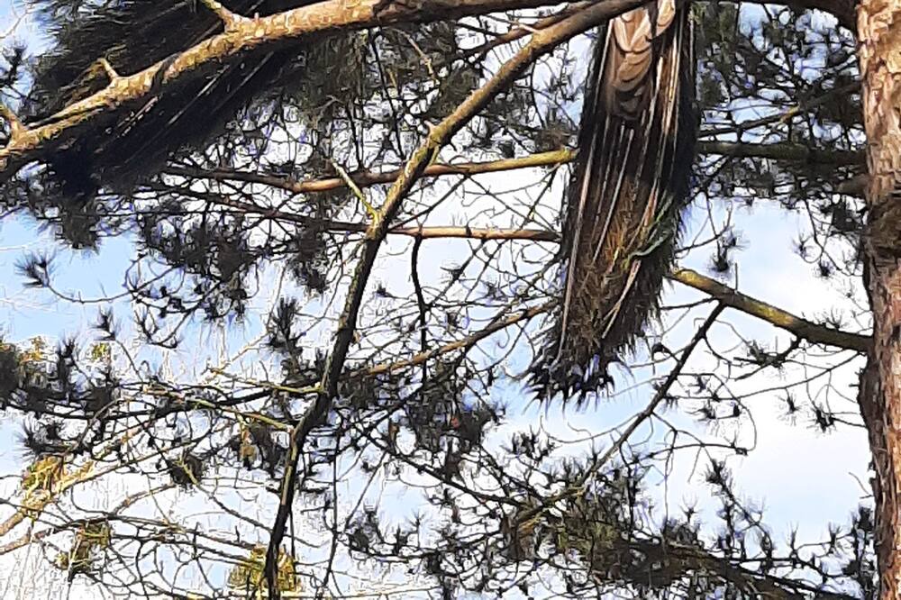 Photo of Others in Saint-Thual