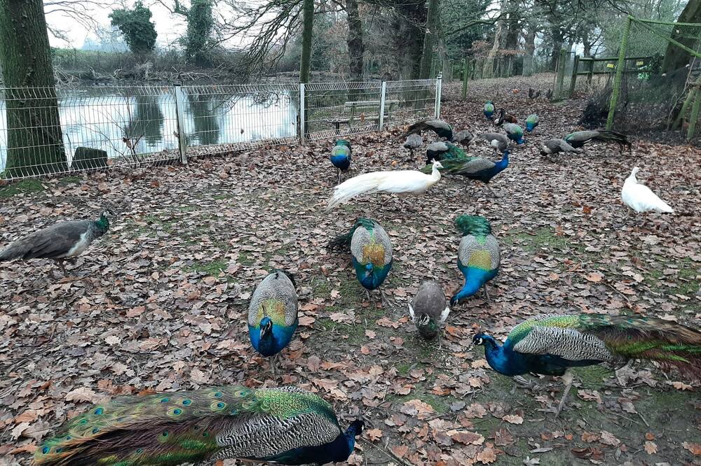 Photo of Others in Saint-Thual