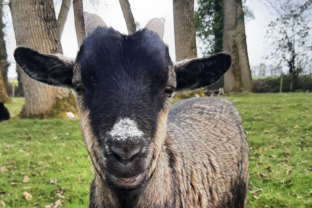 Photo of Others in Saint-Thual