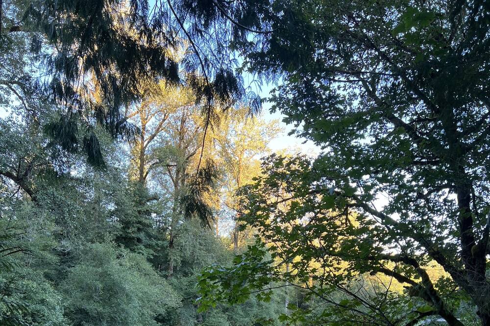 Photo of Outdoor in Montesano