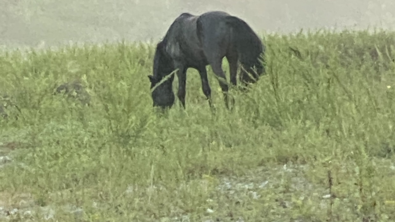 Photo of Outdoor in Meador