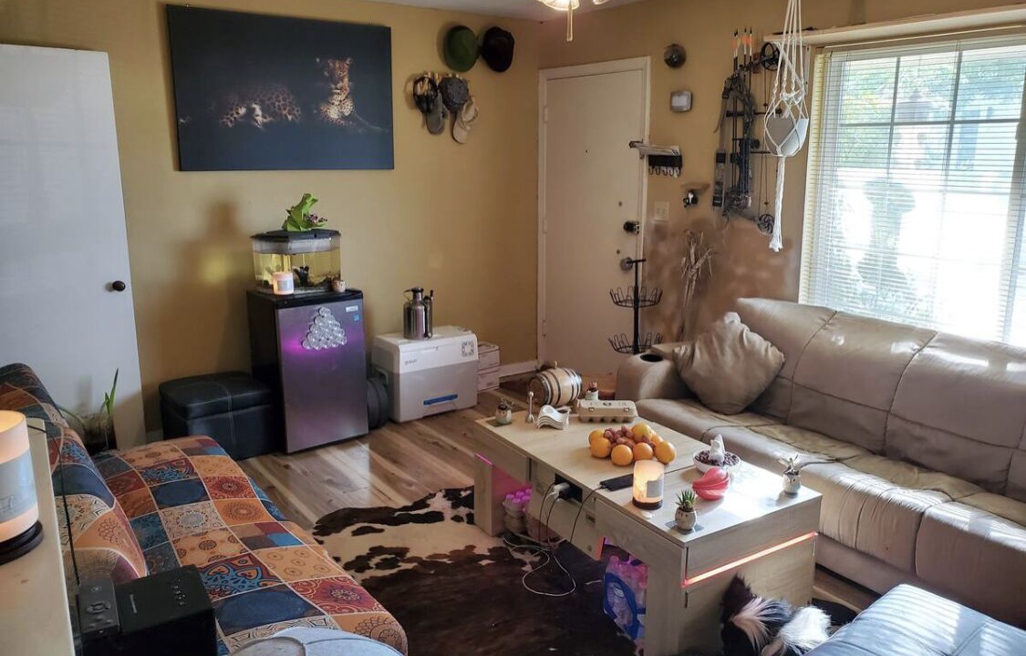 Photo of Livingroom in North Loop