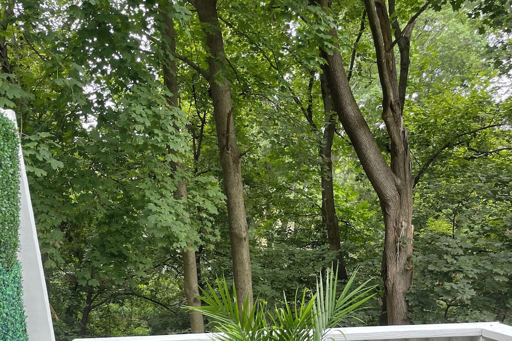 Photo of Outdoor in Peekskill