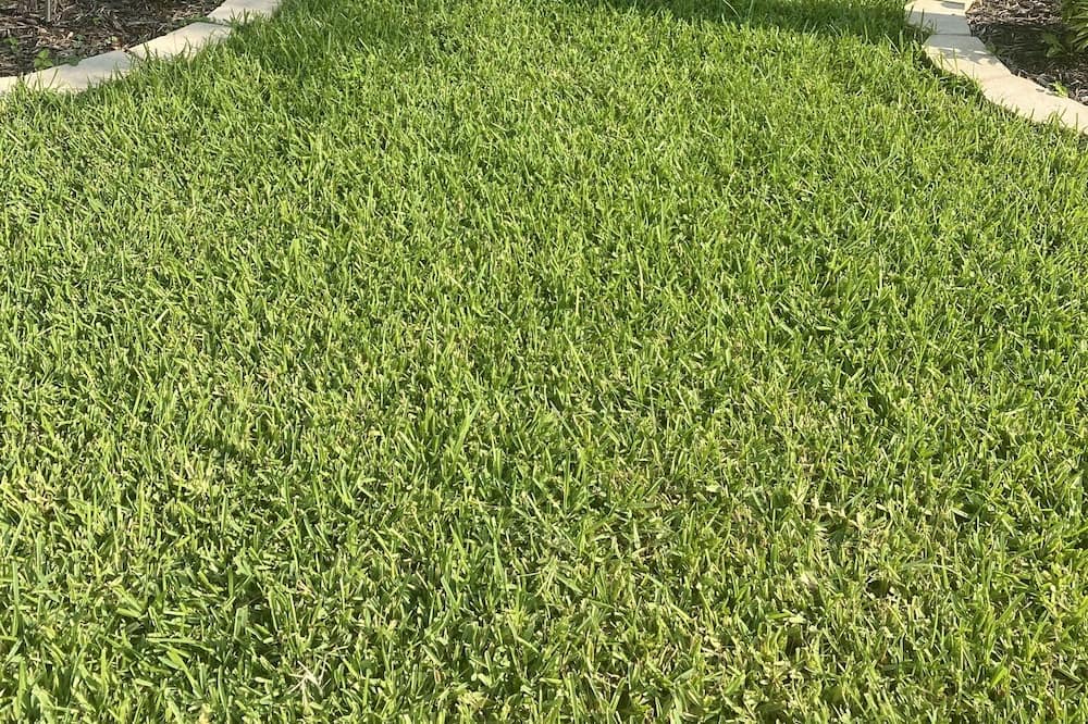 Photo of Outdoor in Justin