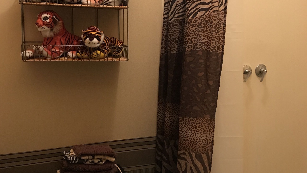 Photo of Bathroom in Red Boiling Springs