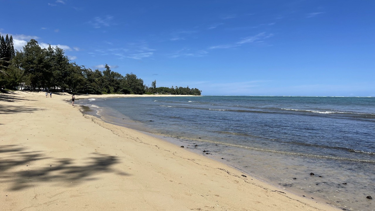 Photo of Others in Hauula