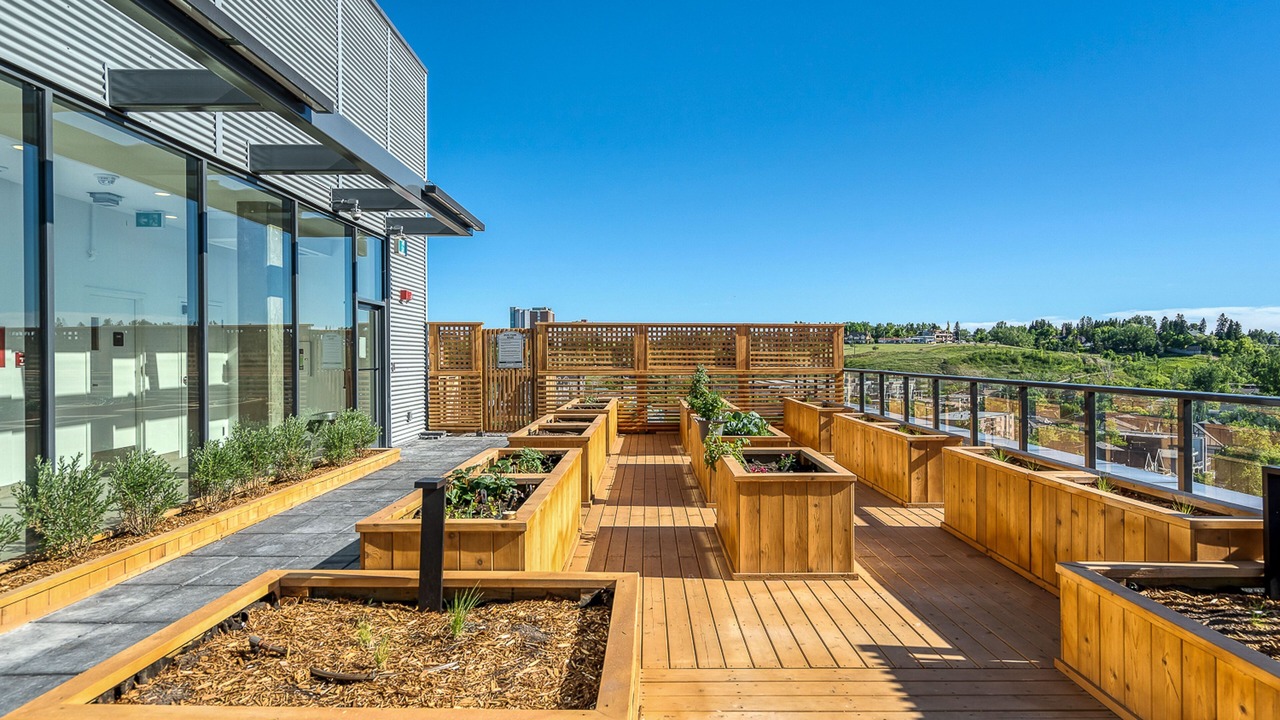 Photo of Outdoor in Kensington