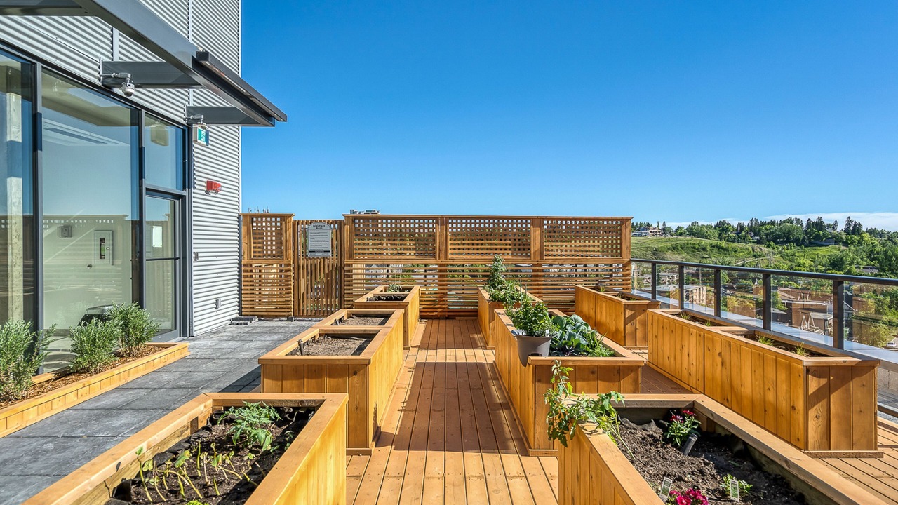 Photo of Outdoor in Kensington