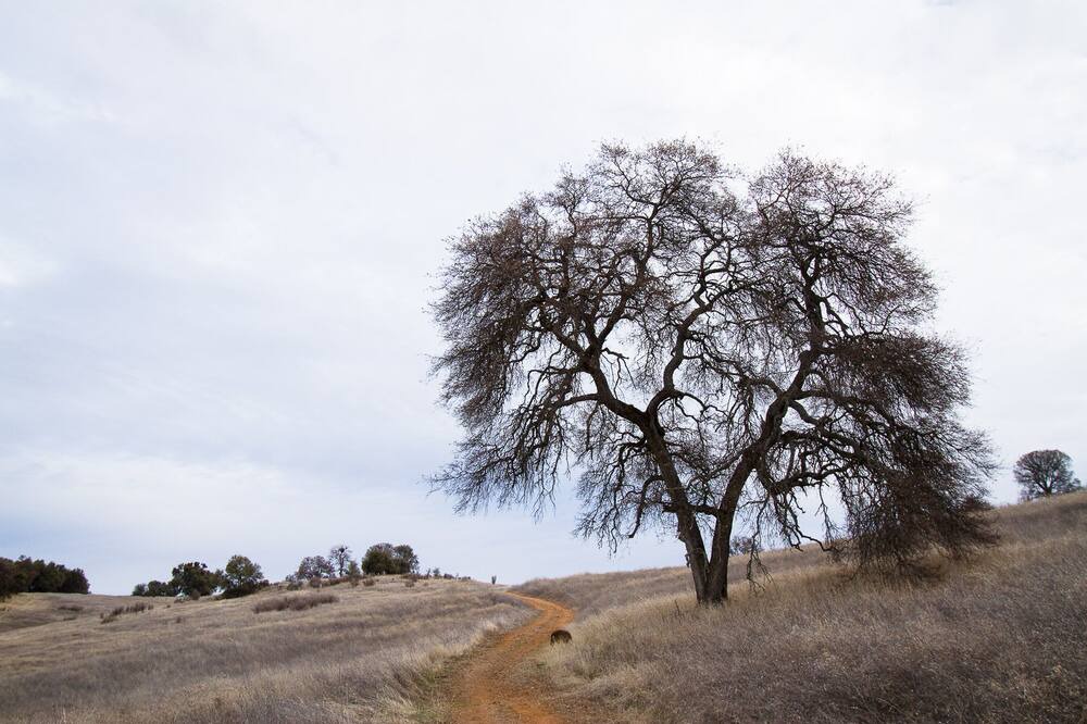 Photo of Others in Pilot Hill