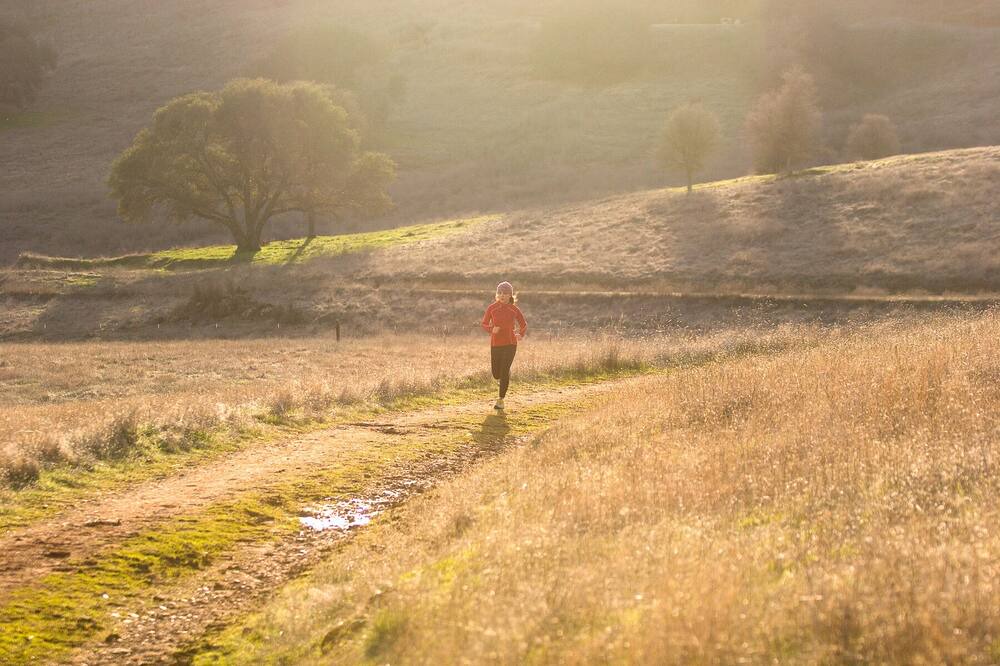 Photo of Others in Pilot Hill