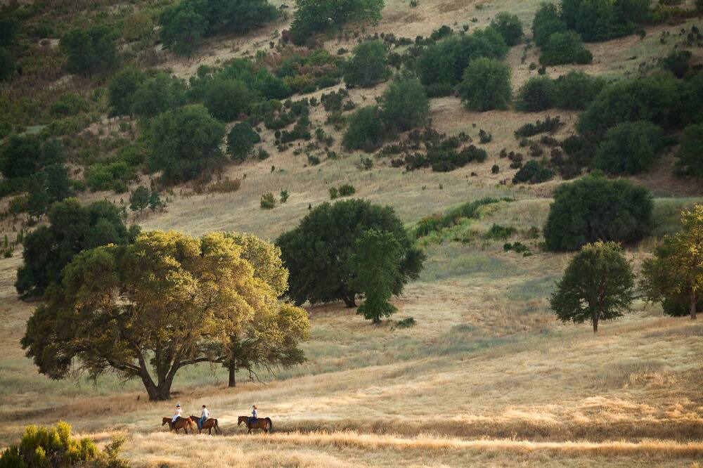 Photo of Outdoor in Pilot Hill