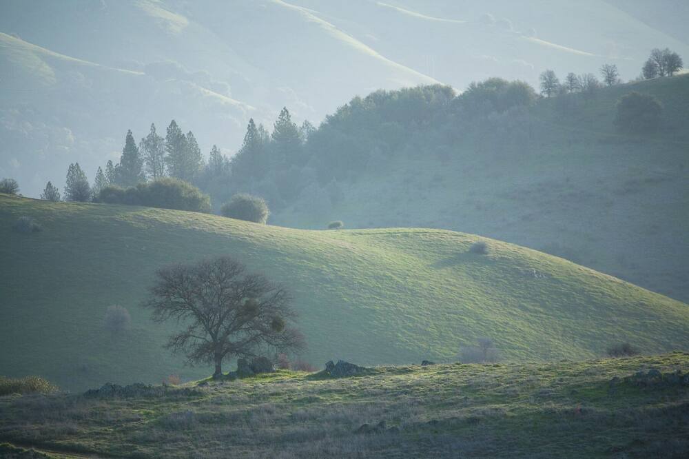 Photo of Others in Pilot Hill